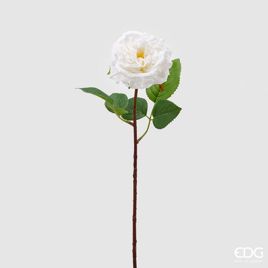 edg enzo de gasperi edg enzo de gasperi rosa alma olis 2 fg h 48 cm pianta artificiale bianco ean 8059824011985