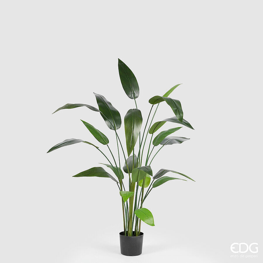edg enzo de gasperi edg enzo de gasperi strelitzia x20 con vaso h 152 cm pianta artificiale verde ean 8059824497932