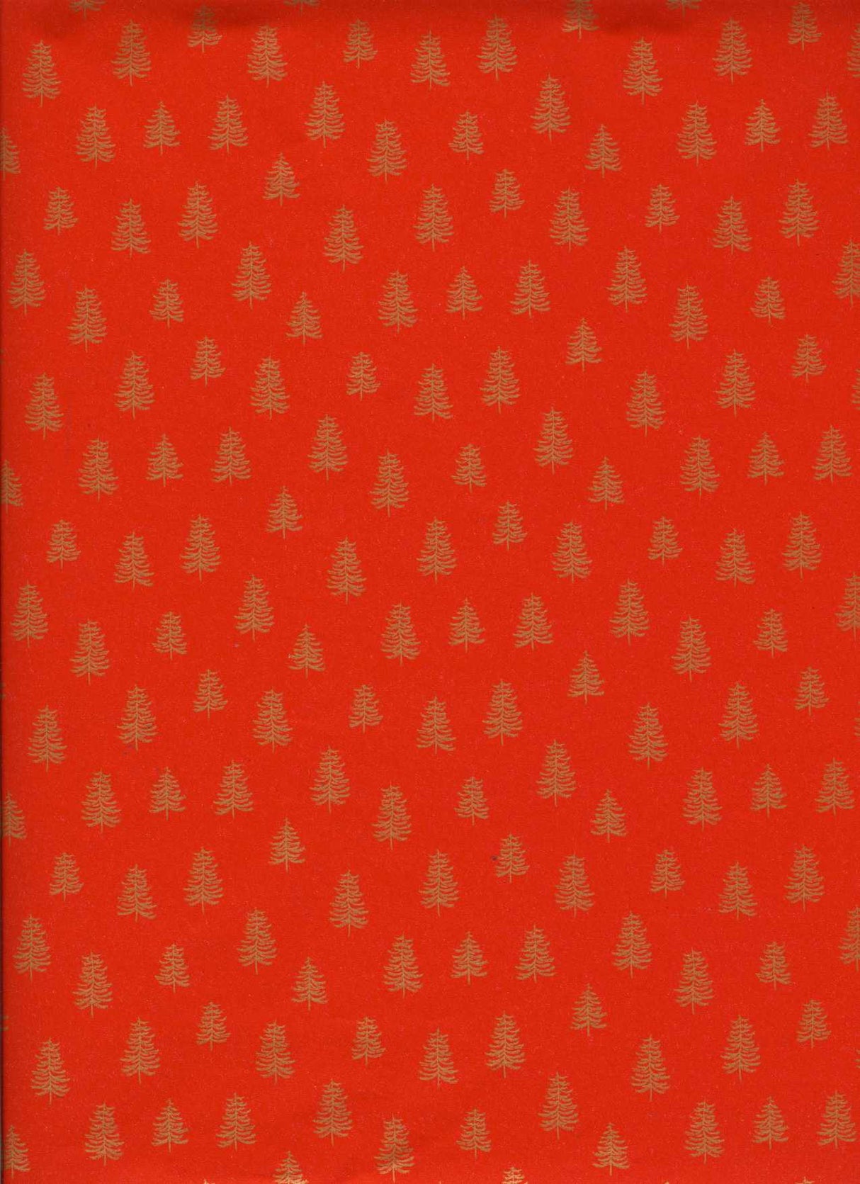 immagine-1-saul-sadoch-carta-regalo-di-natale-ecocarta-h-070-mt-l-25-mt-rosso-ean-8006715319200