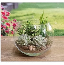 due esse distribuzioni due esse distribuzioni vaso palla vetro d 16 cm h 13 cm natural scatola regalo ean 8034048144336