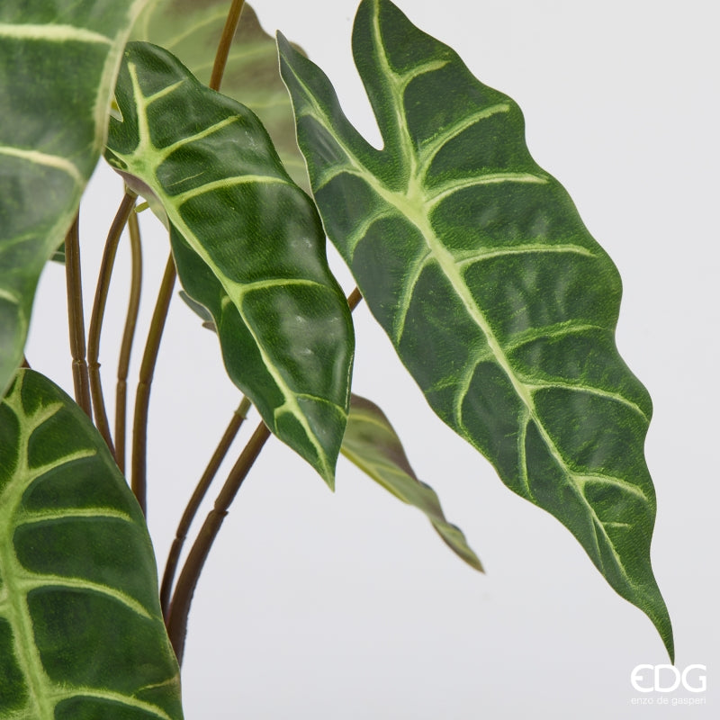 edg enzo de gasperi edg enzo de gasperi alocasia cespuglio x10 h 40 cm pianta artificiale mix verde ean 8059824634702