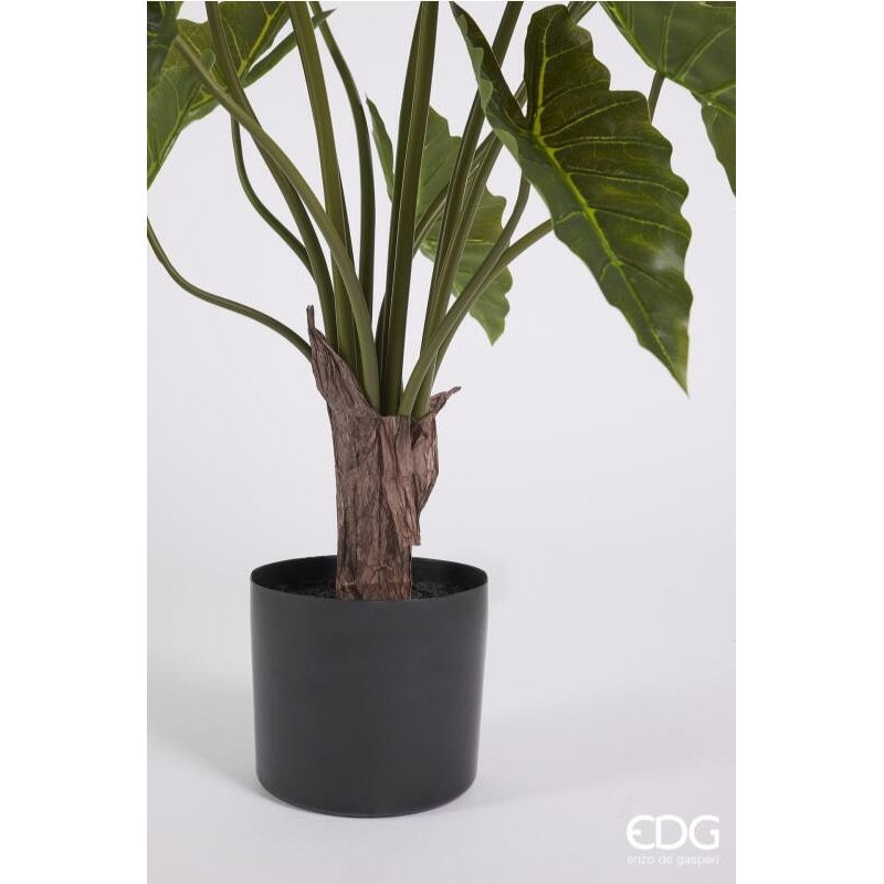edg enzo de gasperi edg enzo de gasperi alocasia con vaso h 90 cm pianta artificiale verde ean 8059824489586