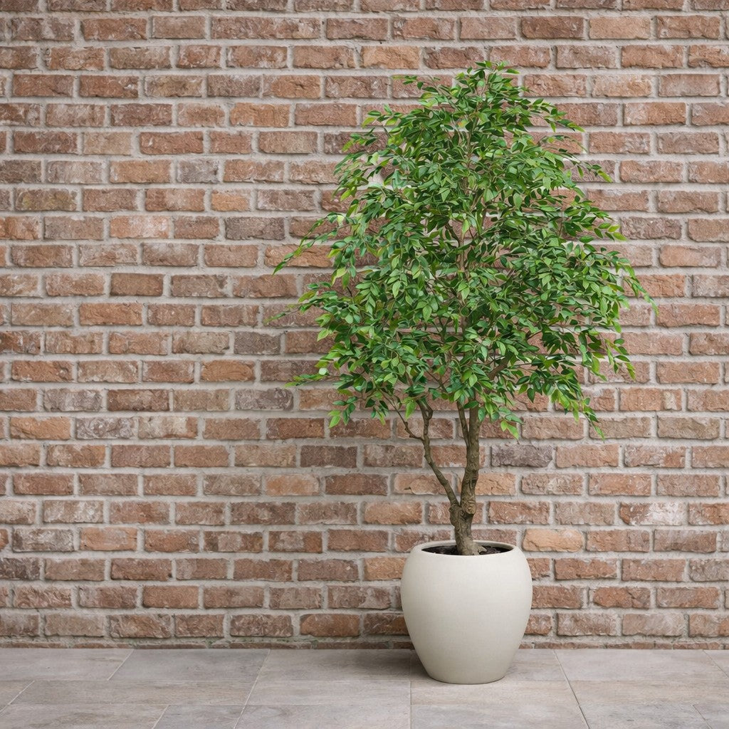 edg enzo de gasperi edg enzo de gasperi ficus beniamino vogue con vaso pianta artificiale h 224 cm verde ean 8059824607317