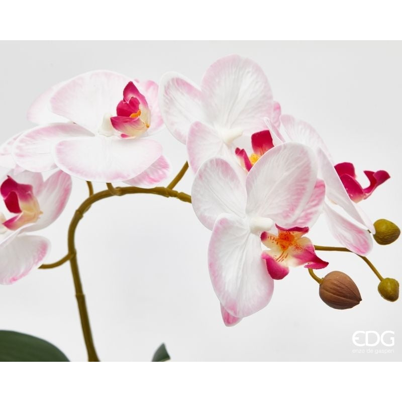 edg enzo de gasperi edg enzo de gasperi orchidea phalaenopsis con foglie e vaso h 47 cm pianta artificiale bianco rosa chiaro ean 8059824513694