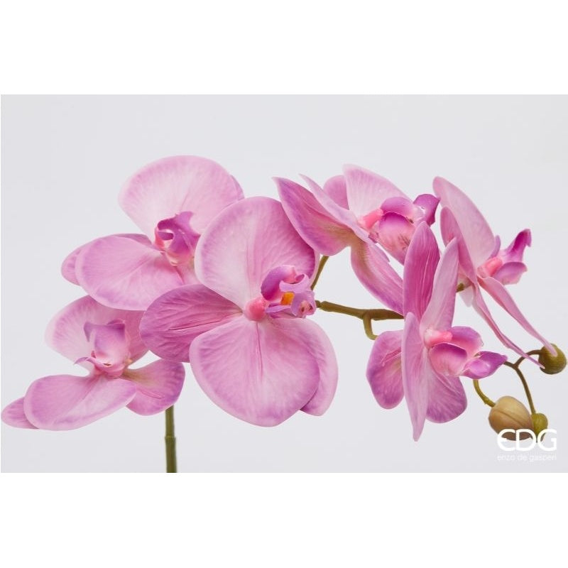 edg enzo de gasperi edg enzo de gasperi orchidea phalaenopsis con vaso e foglie h 40 cm pianta artificiale fuchsia ean 8059824513571