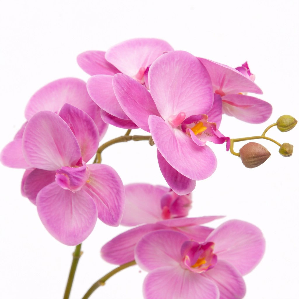 edg enzo de gasperi edg enzo de gasperi orchidea phalaenopsis con vaso e foglie h 50 cm pianta artificiale fuchsia ean 8059824513632