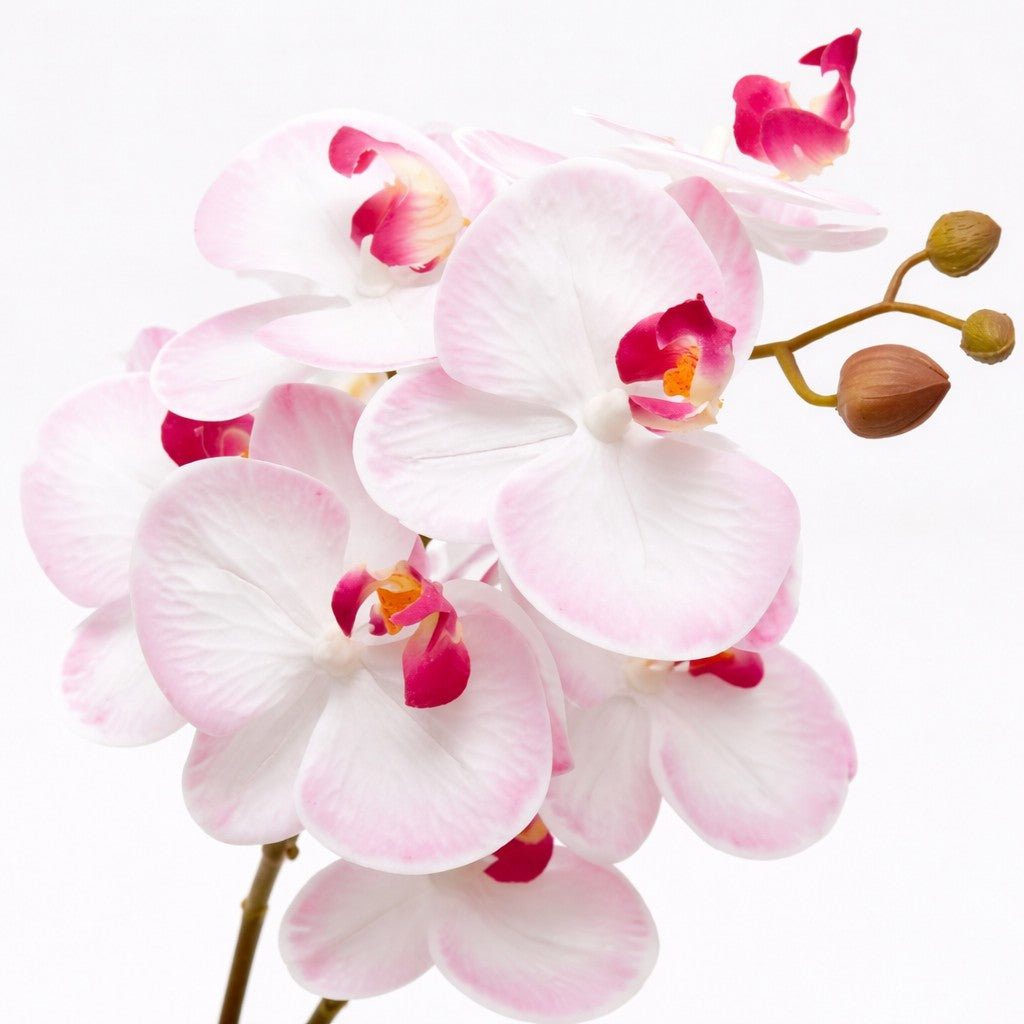 edg enzo de gasperi edg enzo de gasperi orchidea phalaenopsis con vaso e foglie h 50 cm pianta artificiale rosa chiaro ean 8059824513618