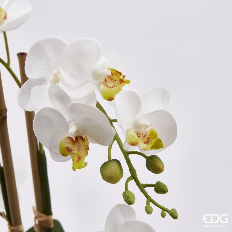 edg enzo de gasperi edg enzo de gasperi orchidea phalaenopsis real con vaso h 38 cm 23f pianta artificiale bianco verde ean 8056372175640