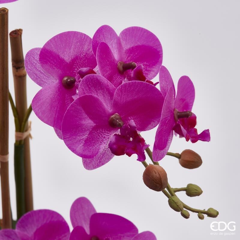 edg enzo de gasperi edg enzo de gasperi orchidea phalaenopsis real con vaso h 38 cm 23f pianta artificiale fuchsia ean 8056372175657