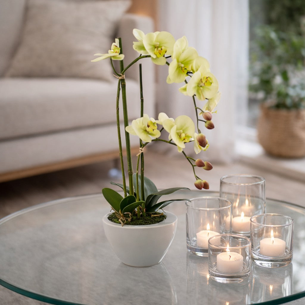 edg enzo de gasperi edg enzo de gasperi orchidea phalaenopsis real x2 con vaso h 50 cm pianta artificiale verde chiaro ean 8054184927327