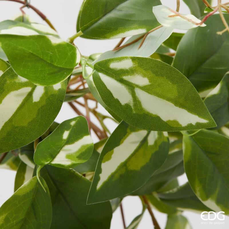 edg enzo de gasperi edg enzo de gasperi potus cespuglio h 60 cm pianta artificiale bianco verde ean 8059824487711