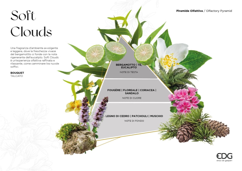 edg enzo de gasperi edg enzo de gasperi profumatore bottiglia 100 ml con bastoncini soft clouds ean 8059824454669