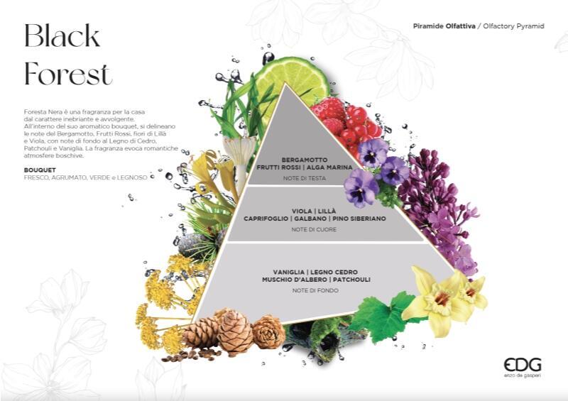 edg enzo de gasperi edg enzo de gasperi profumatore bottiglia quadrata 2 200 ml h 27 cm black forest scatola regalo ean 8056372548192