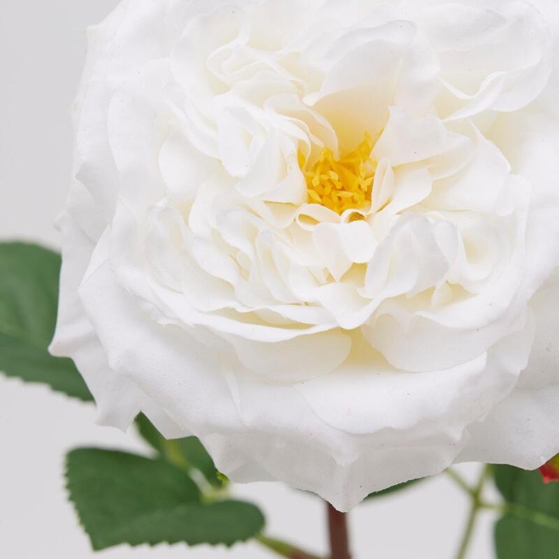 edg enzo de gasperi edg enzo de gasperi rosa alma olis 2 fg h 48 cm pianta artificiale bianco ean 8059824011985