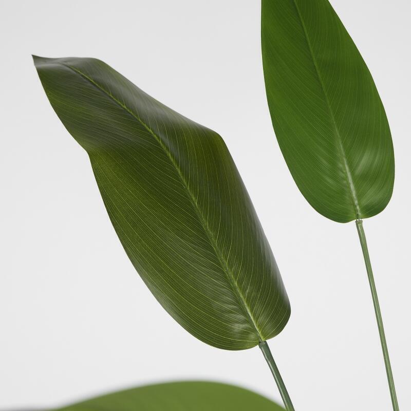 edg enzo de gasperi edg enzo de gasperi strelitzia x20 con vaso h 152 cm pianta artificiale verde ean 8059824497932