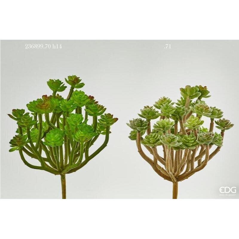edg enzo de gasperi edg enzo de gasperi succulenta pick h 14 cm light green pianta artificiale decorativa realistica design moderno ean 8054184901624