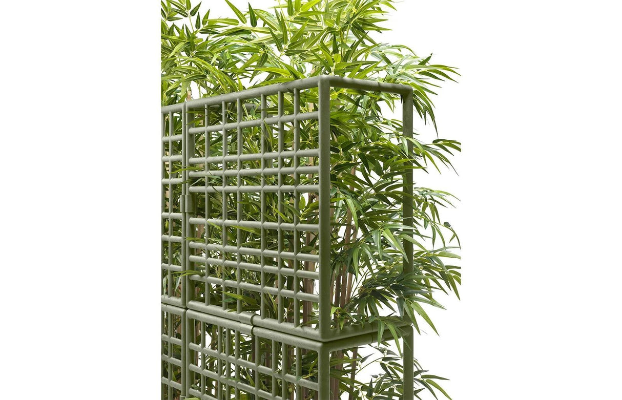 immagine-2-nardi-sipario-2-cactus-con-fioriera-auto-irrigante