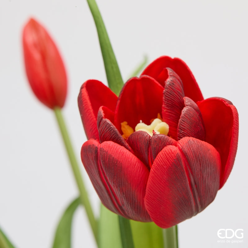 edg enzo de gasperi edg enzo de gasperi bouquete tulipano chiuso x4 h 40 cm con bocciolo rosso grenat ean 8059824612786