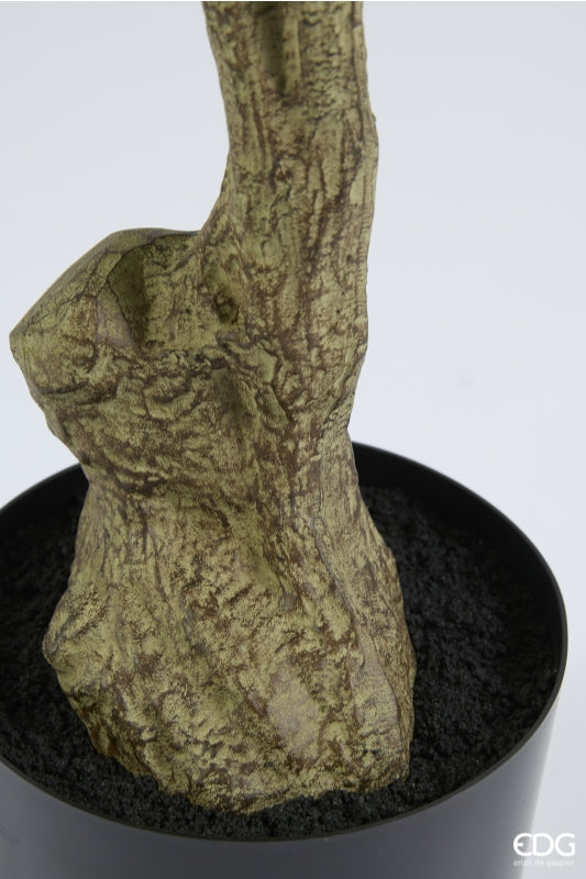 edg enzo de gasperi edg enzo de gasperi dalbergia vogue con vaso pianta artificiale h 180 cm verde ean 8059824607300