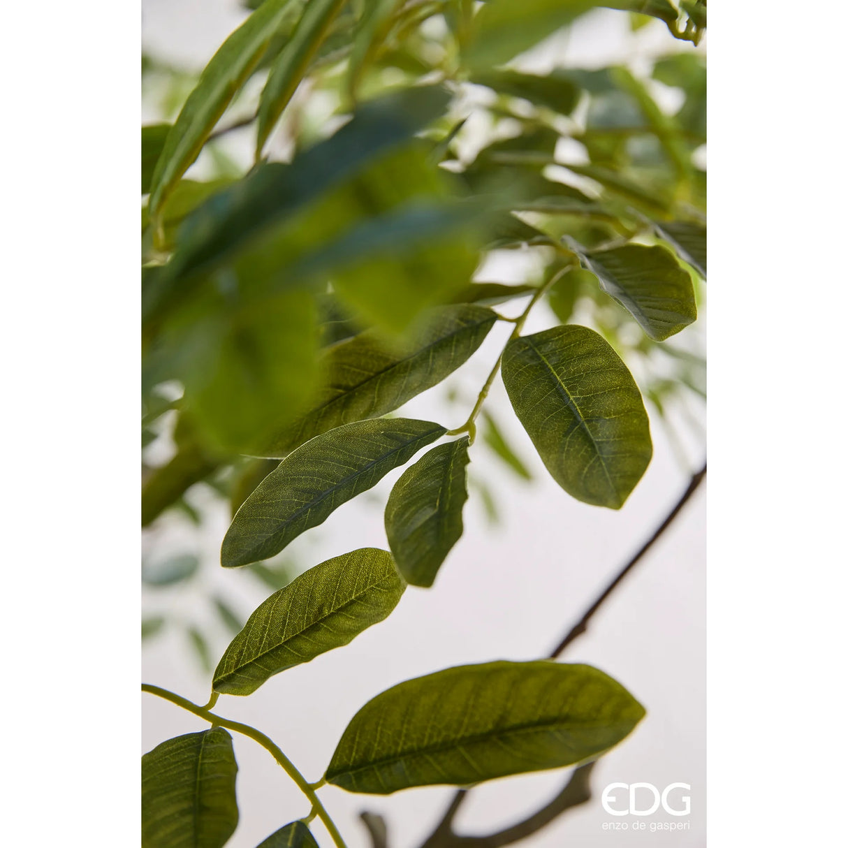 edg enzo de gasperi edg enzo de gasperi dalbergia vogue con vaso pianta artificiale h 240 cm verde ean 8059824607409