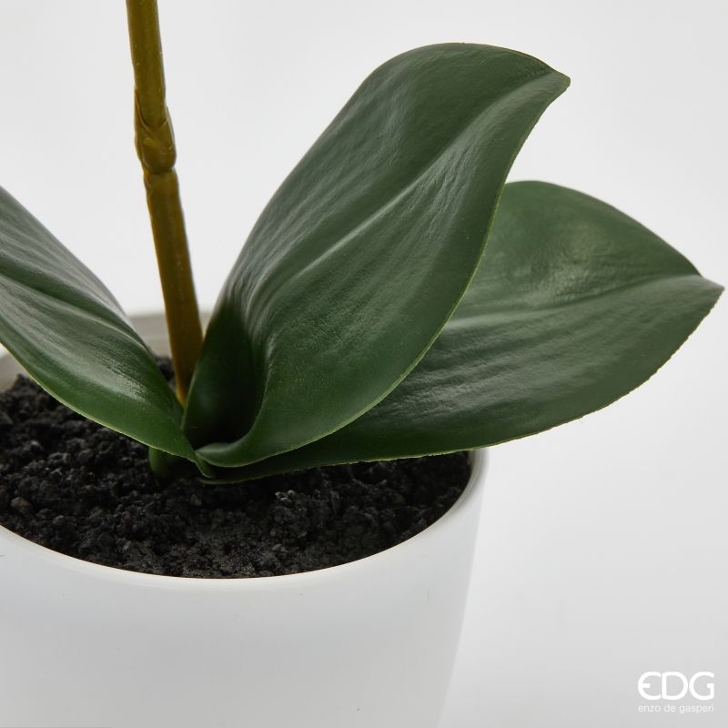edg enzo de gasperi edg enzo de gasperi orchidea phalaenopsis con vaso e foglie h 40 cm pianta artificiale bianco ean 8059824513533
