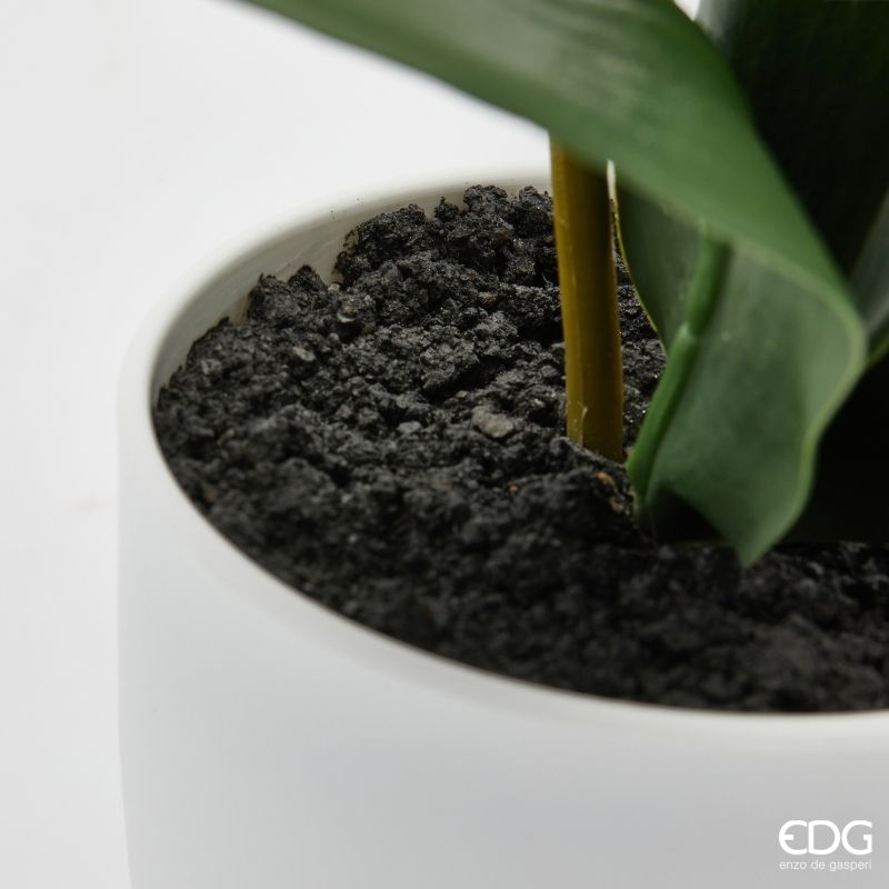 edg enzo de gasperi edg enzo de gasperi orchidea phalaenopsis con vaso e foglie h 50 cm pianta artificiale bianco ean 8059824513595