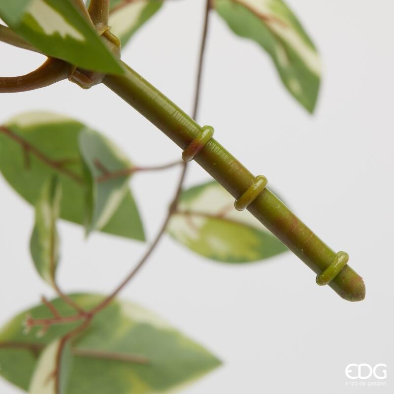 edg enzo de gasperi edg enzo de gasperi potus cespuglio h 60 cm pianta artificiale bianco verde ean 8059824487711