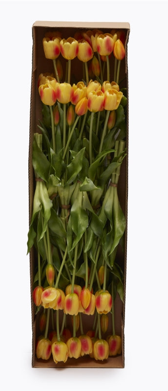 edg enzo de gasperi edg enzo de gasperi bouquet di 5 tulipani chiusi gomma olis h 40 cm giallo rosso ean 8059824081650