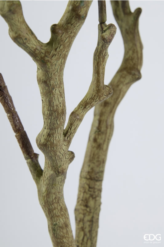 edg enzo de gasperi edg enzo de gasperi dalbergia vogue con vaso pianta artificiale h 180 cm verde ean 8059824607300