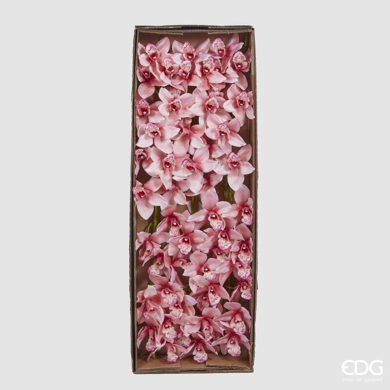 edg enzo de gasperi edg enzo de gasperi orchidea cymbidium h 90 cm rosa ean 8059824235138