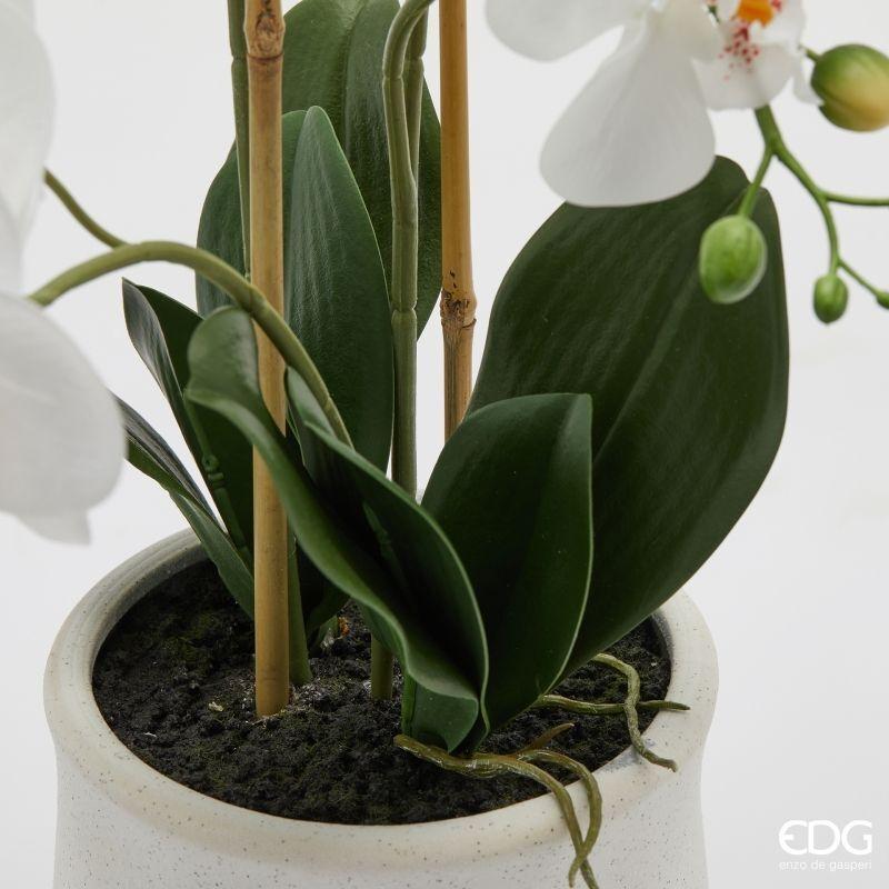edg enzo de gasperi edg enzo de gasperi orchidea phalaenopsis x5 con foglie e vaso h 62 cm pianta artificiale bianco ean 8059824513779