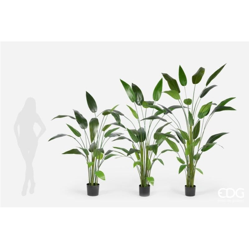 edg enzo de gasperi edg enzo de gasperi strelitzia x20 con vaso h 152 cm pianta artificiale verde ean 8059824497932