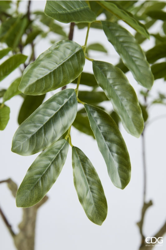 edg enzo de gasperi edg enzo de gasperi dalbergia vogue con vaso pianta artificiale h 180 cm verde ean 8059824607300