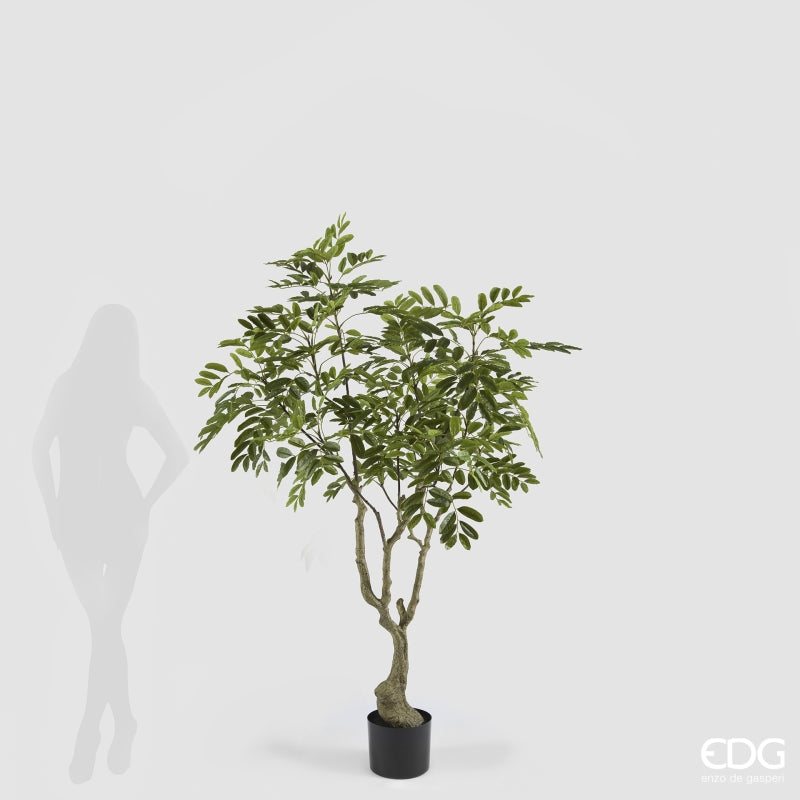 edg enzo de gasperi edg enzo de gasperi dalbergia vogue con vaso pianta artificiale h 180 cm verde ean 8059824607300