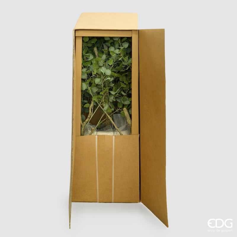 edg enzo de gasperi edg enzo de gasperi eucalipto con vaso h 244 cm pianta artificiale verde ean 8059824607287