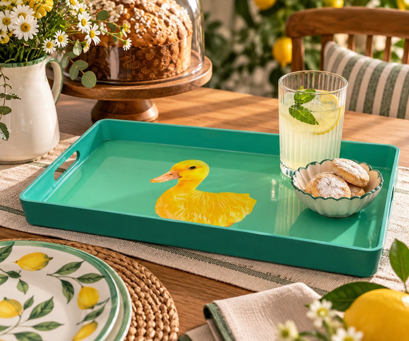 WD LifeStyle Vassoio Rettangolare Decoro Papera 40x24 cm – Vassoio da Portata
