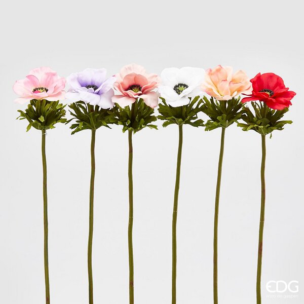 immagine-1-edg-enzo-de-gasperi-anemone-chic-ramo-6col-ass-h50-c0-multicolor