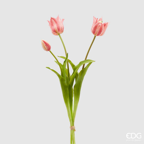 immagine-1-edg-enzo-de-gasperi-tulipano-gomma-olis-aperto-3pz-h48-c4-pink-cream