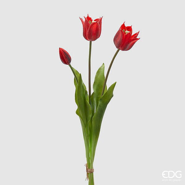 immagine-1-edg-enzo-de-gasperi-tulipano-gomma-olis-aperto-3pz-h48-c4-red