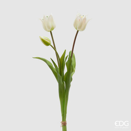 immagine-1-edg-enzo-de-gasperi-tulipano-gomma-olis-aperto-3pz-h48-c4-white