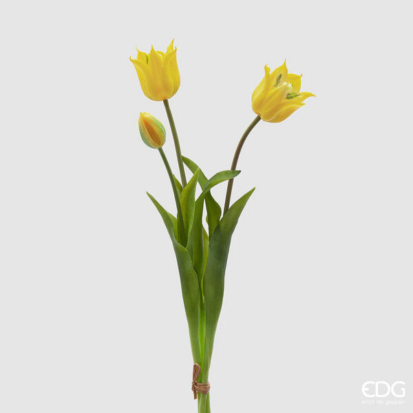 immagine-1-edg-enzo-de-gasperi-tulipano-gomma-olis-aperto-3pz-h48-c4-yellow
