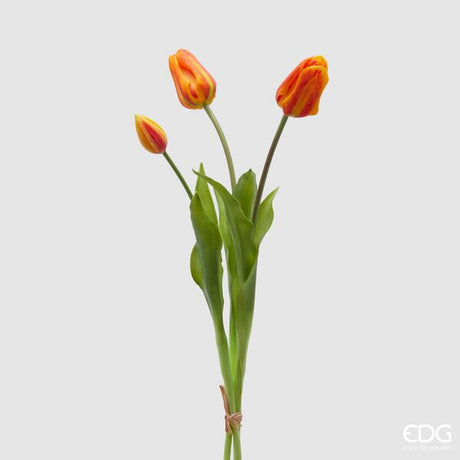 immagine-1-edg-enzo-de-gasperi-tulipano-gomma-olis-chiuso-5pz-h40-c4-orange