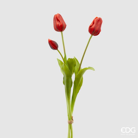 immagine-1-edg-enzo-de-gasperi-tulipano-gomma-olis-chiuso-5pz-h40-c4-red