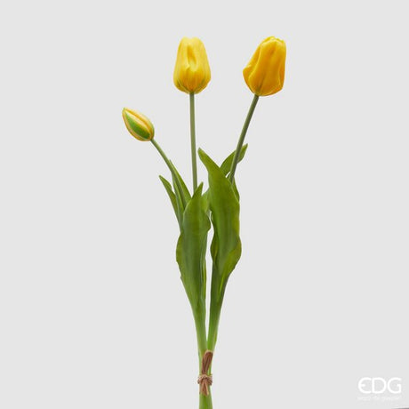 immagine-1-edg-enzo-de-gasperi-tulipano-gomma-olis-chiuso-5pz-h40-c4-yellow