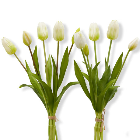 immagine-1-edg-enzo-de-gasperi-tulipano-olis-1-mazzo-da-5-pezzi-h40-ivory