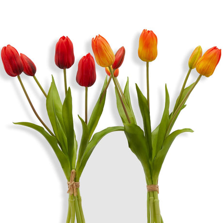 immagine-1-edg-enzo-de-gasperi-tulipano-olis-1-mazzo-da-5-pezzi-h40-orange
