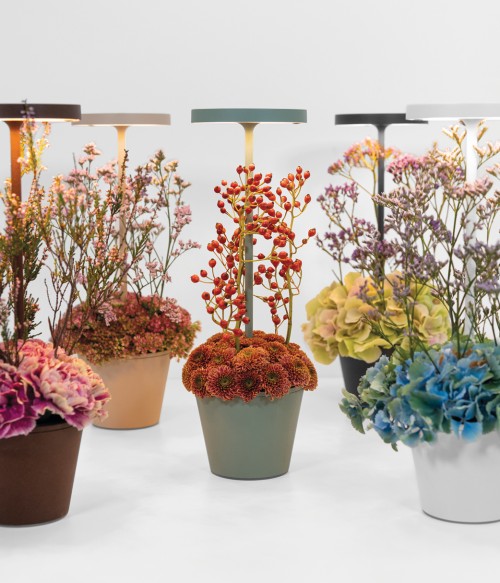 immagine-3-zafferano-poldina-reverso-corten-lampada-da-tavolo-a-led-h35cm