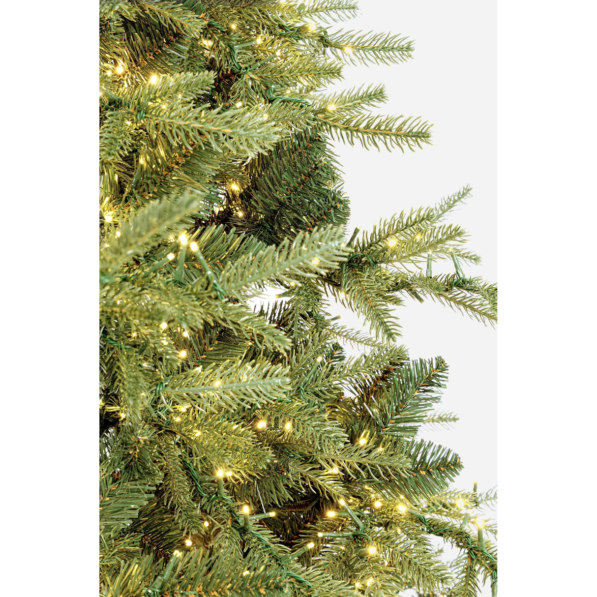 Bizzotto Albero di Natale Ritter H 210 cm con 3567 Rami e 6000 LED