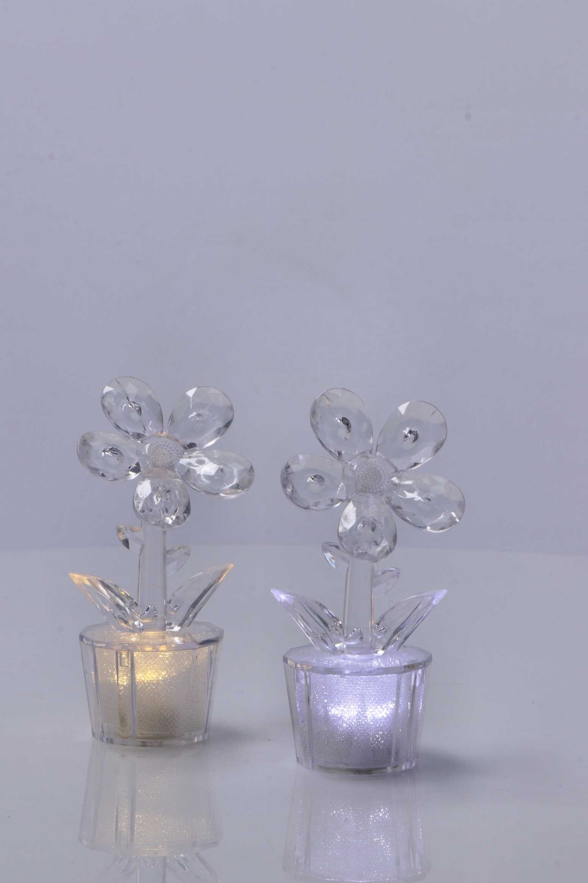 regalo italiano regalo italiano minilampada fiore da tavola ass d 6 cm h 12 cm trasparente 1 pz ean 8057586125018