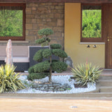 L'Arcolaio Ciottoli Bianco Carrara 25 / 40 Mm 20 Kg